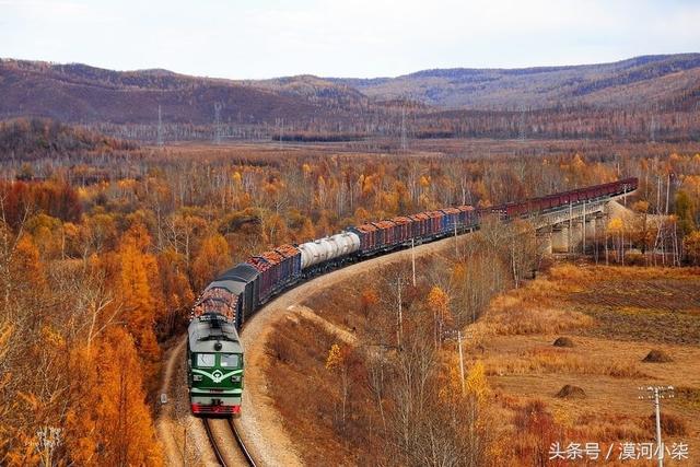 金色秋季，穿行在大兴安岭之中的火车是如此唯美