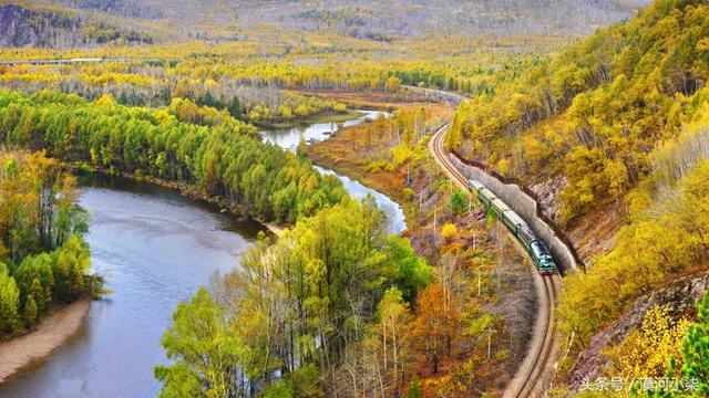 金色秋季，穿行在大兴安岭之中的火车是如此唯美