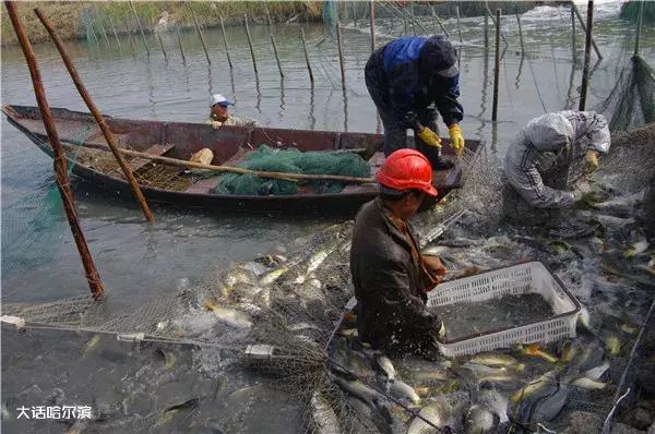 闻名于世的“世界第三渔场“：黑龙江省嫩江流域多耐站