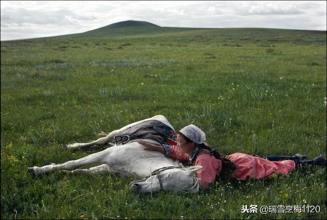 「内蒙古老照片」1979年的内蒙古大草原